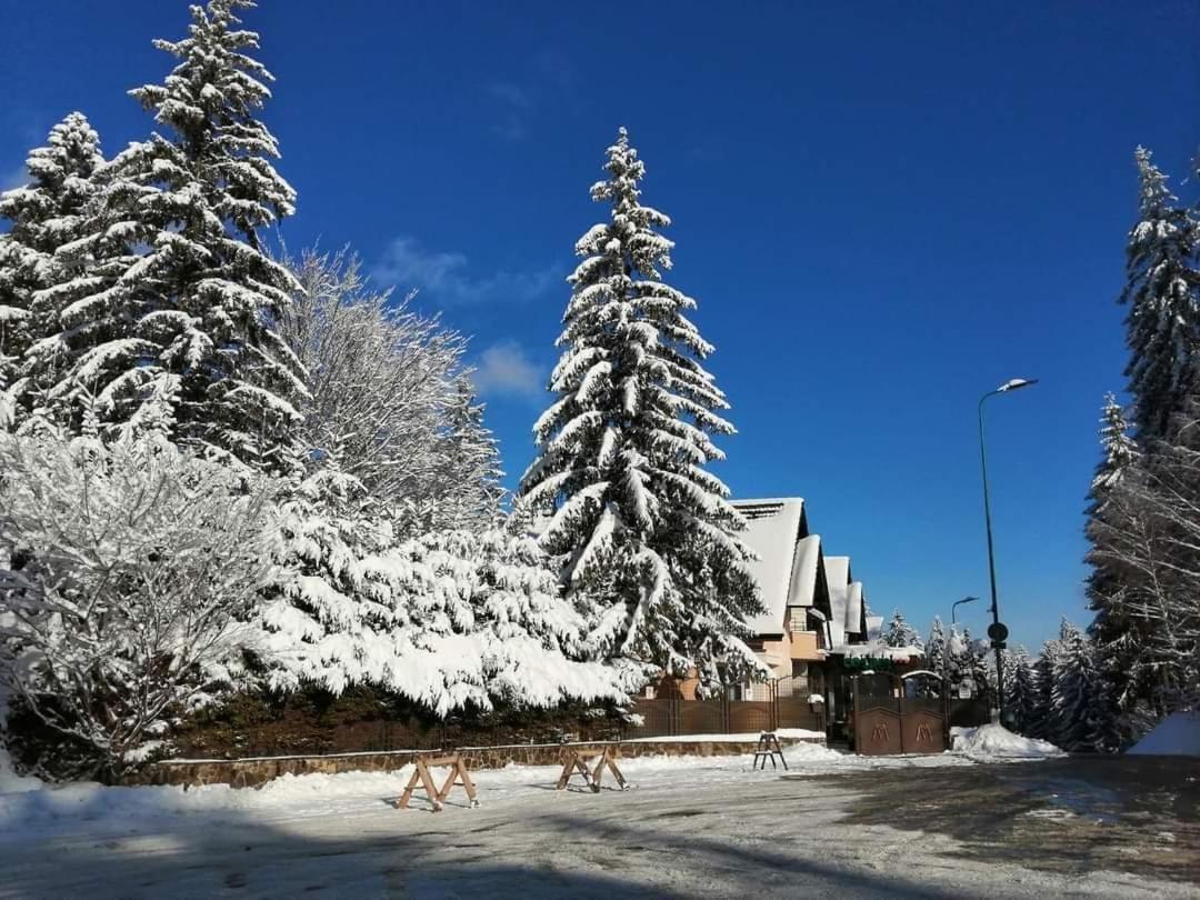 Pensiunea Colina Poiana Braşov Dış mekan fotoğraf
