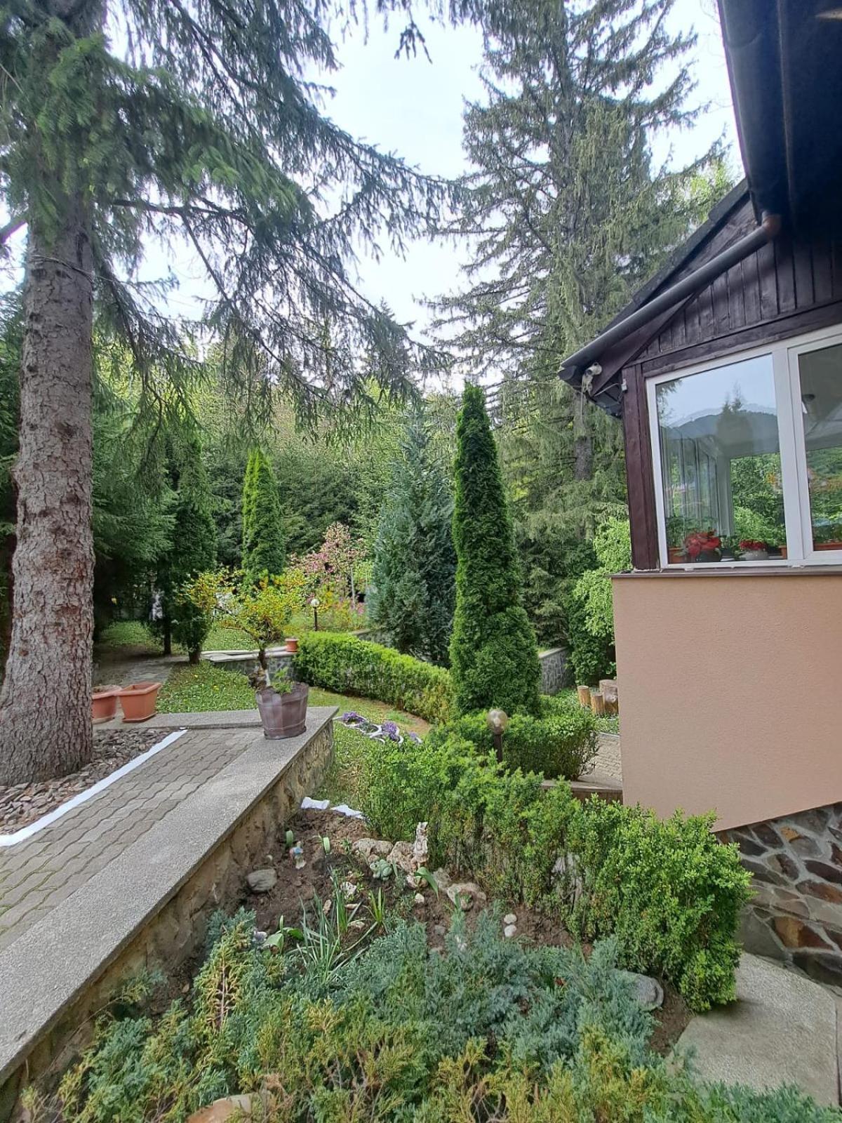 Pensiunea Colina Poiana Braşov Dış mekan fotoğraf