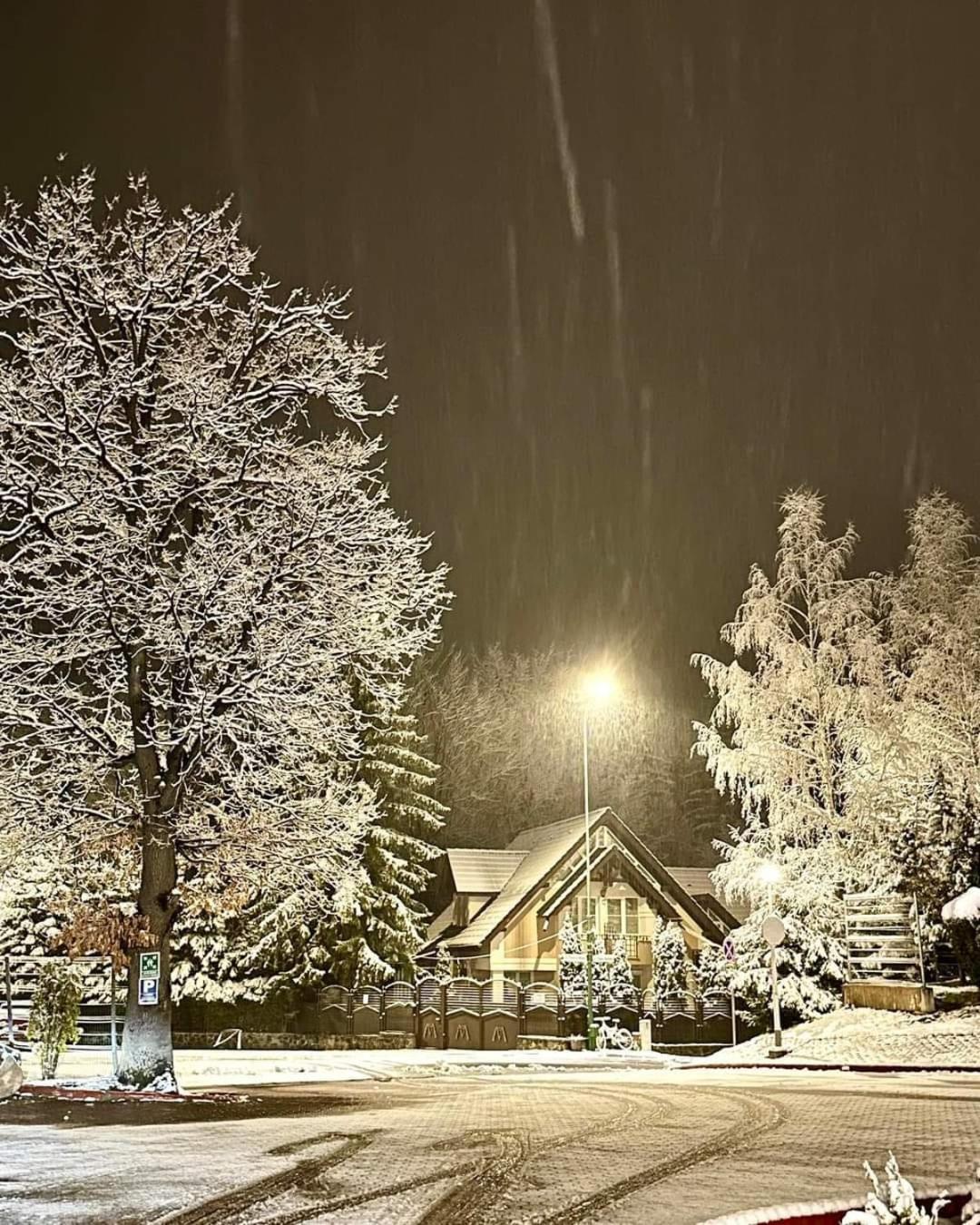 Pensiunea Colina Poiana Braşov Dış mekan fotoğraf