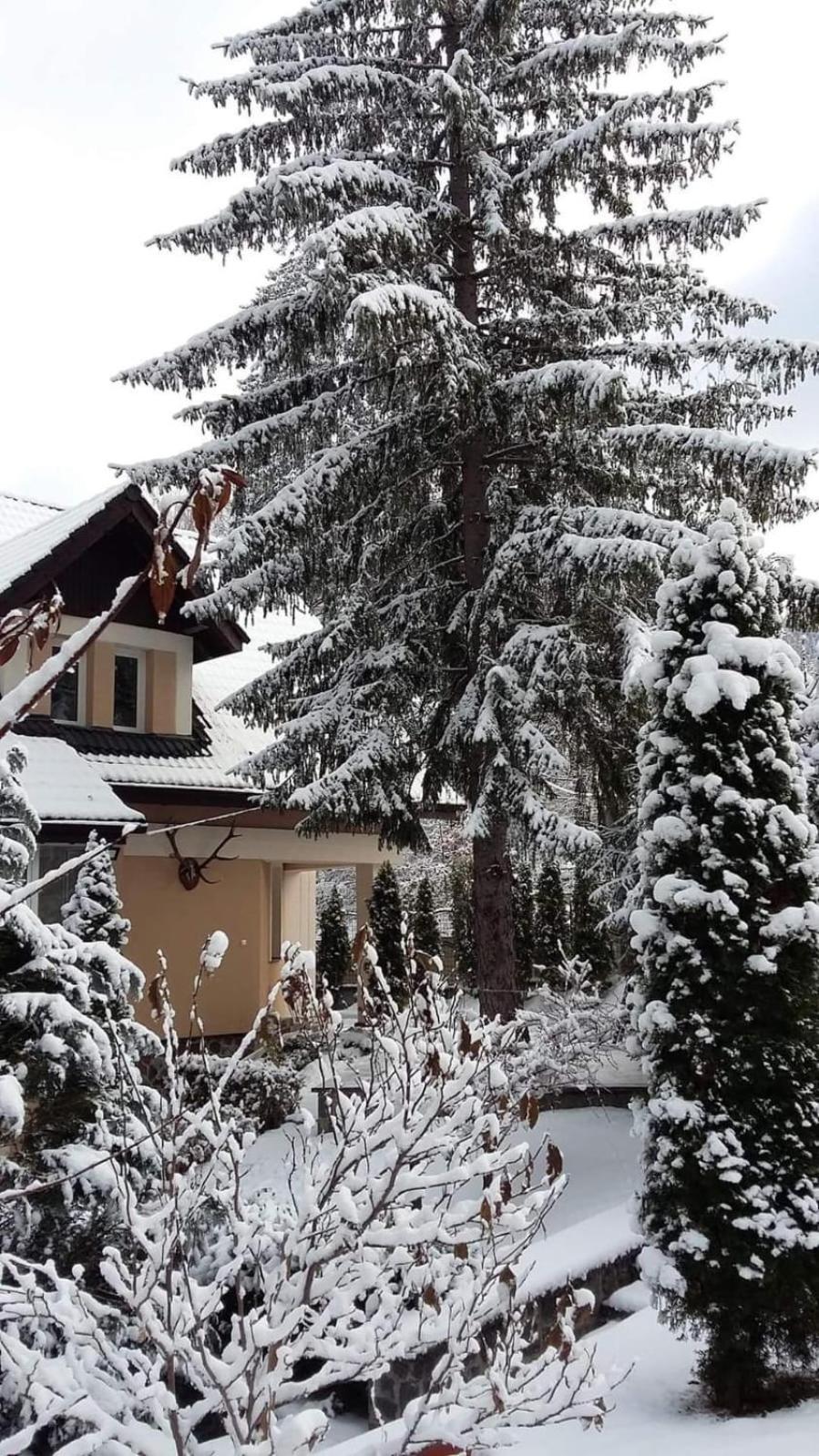 Pensiunea Colina Poiana Braşov Dış mekan fotoğraf