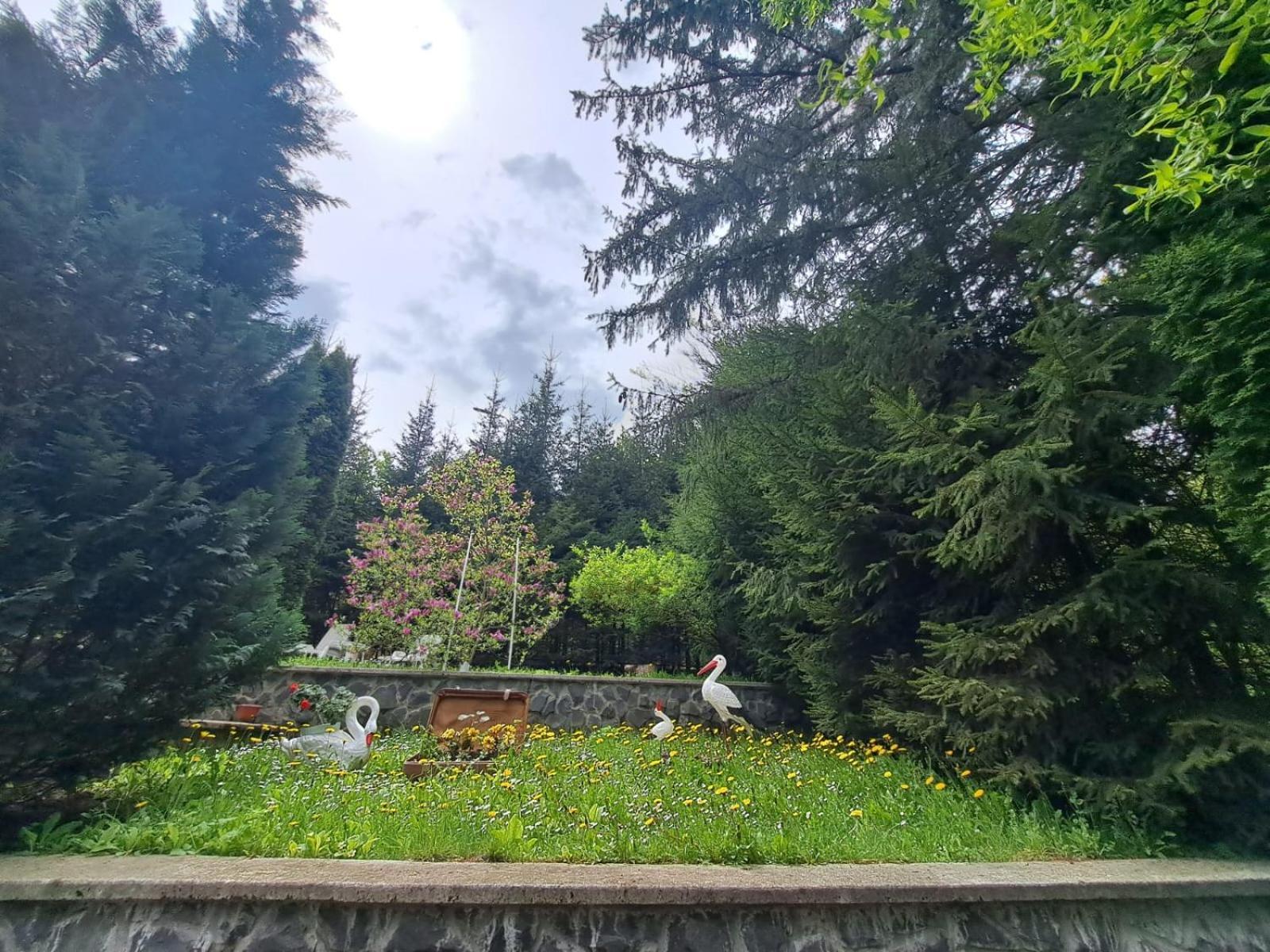 Pensiunea Colina Poiana Braşov Dış mekan fotoğraf