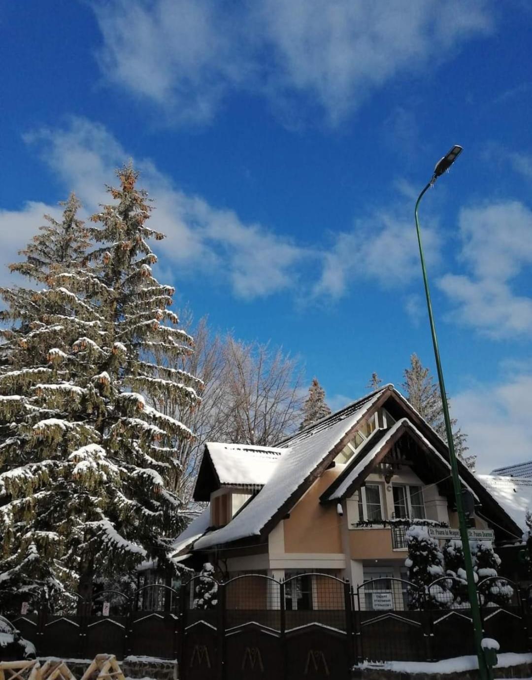 Pensiunea Colina Poiana Braşov Dış mekan fotoğraf