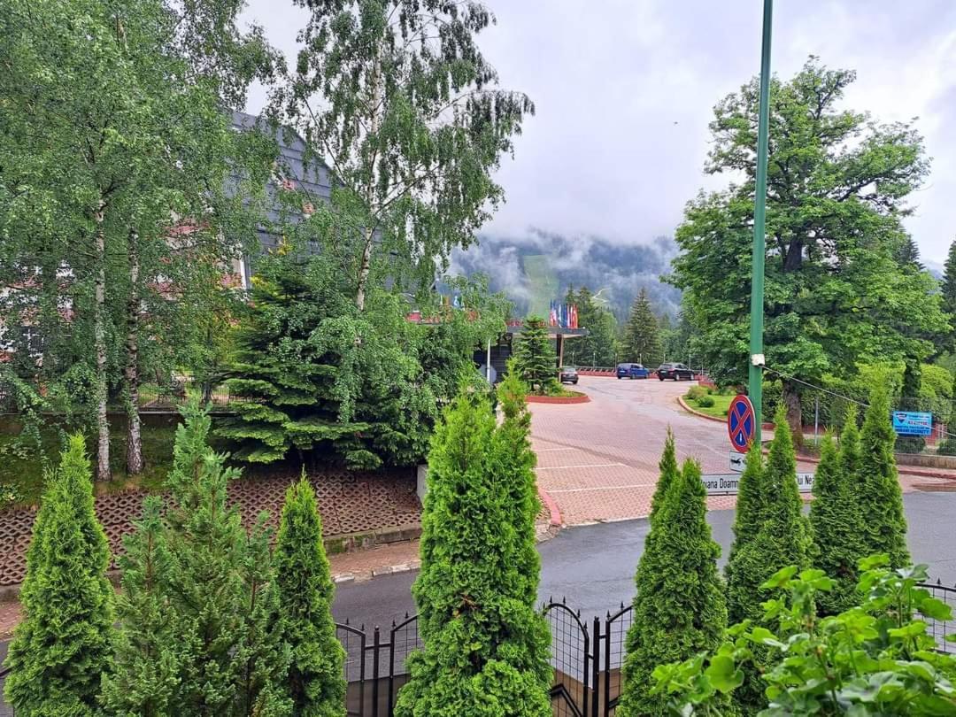 Pensiunea Colina Poiana Braşov Dış mekan fotoğraf
