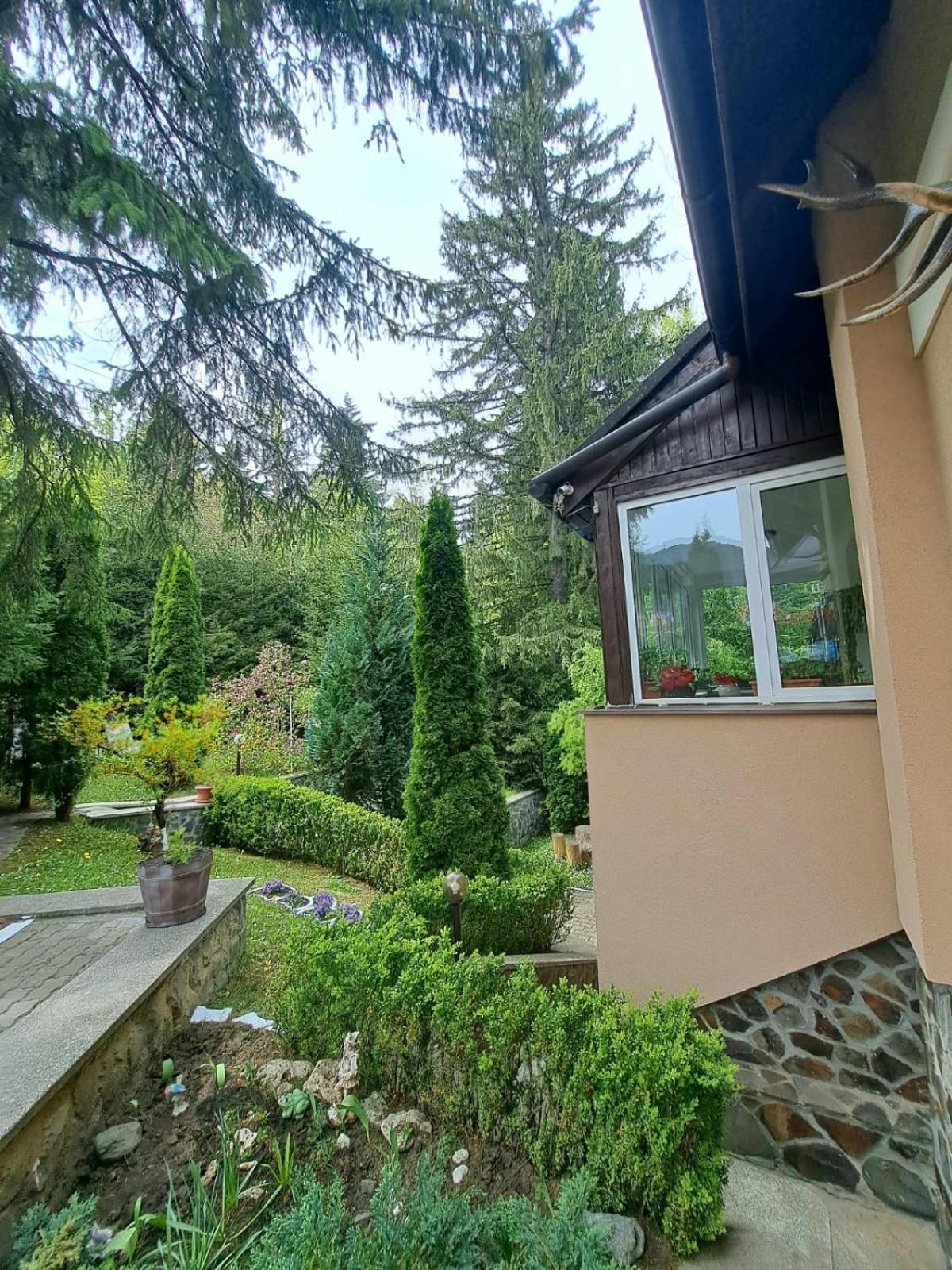 Pensiunea Colina Poiana Braşov Dış mekan fotoğraf