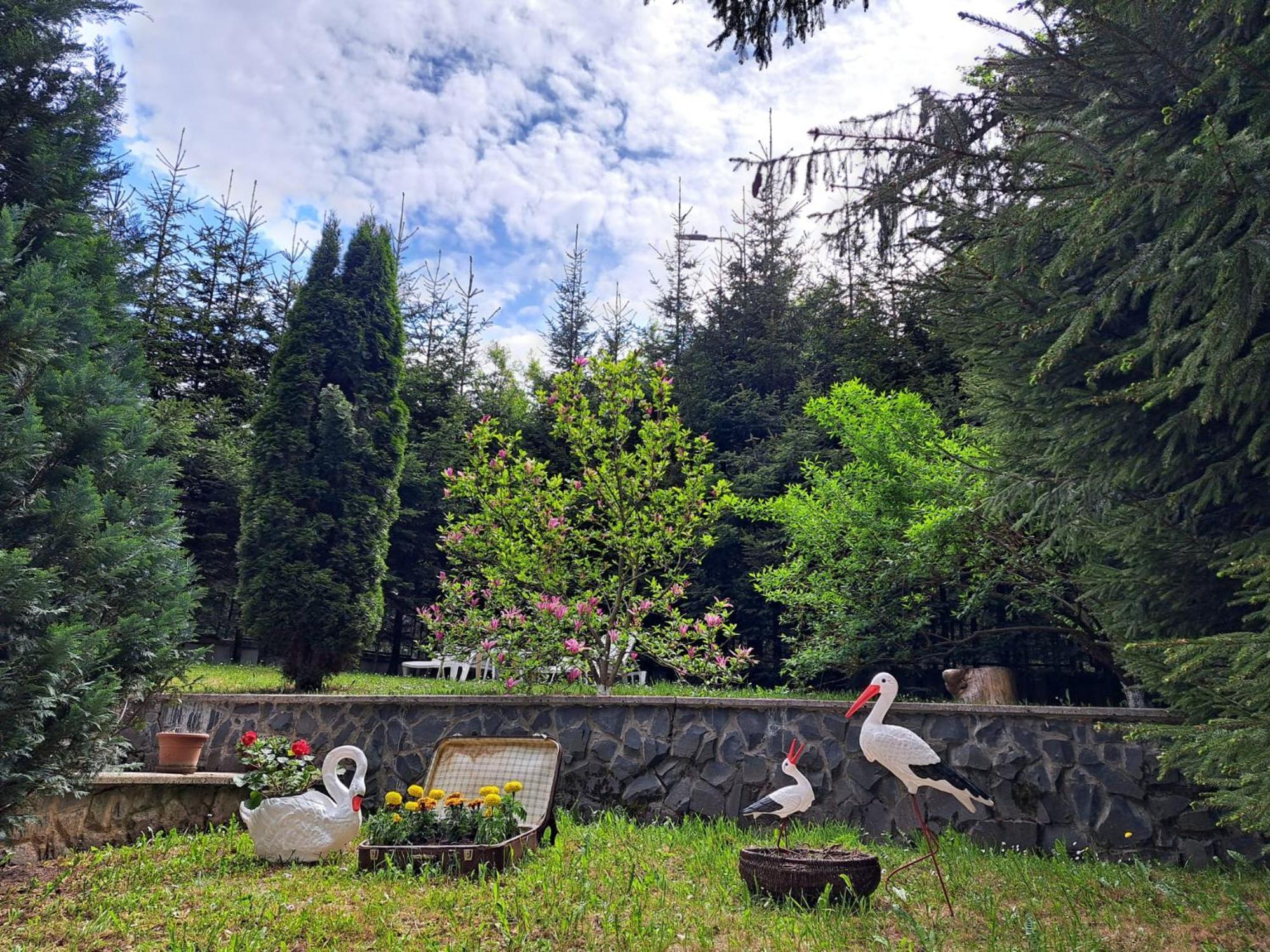 Pensiunea Colina Poiana Braşov Dış mekan fotoğraf