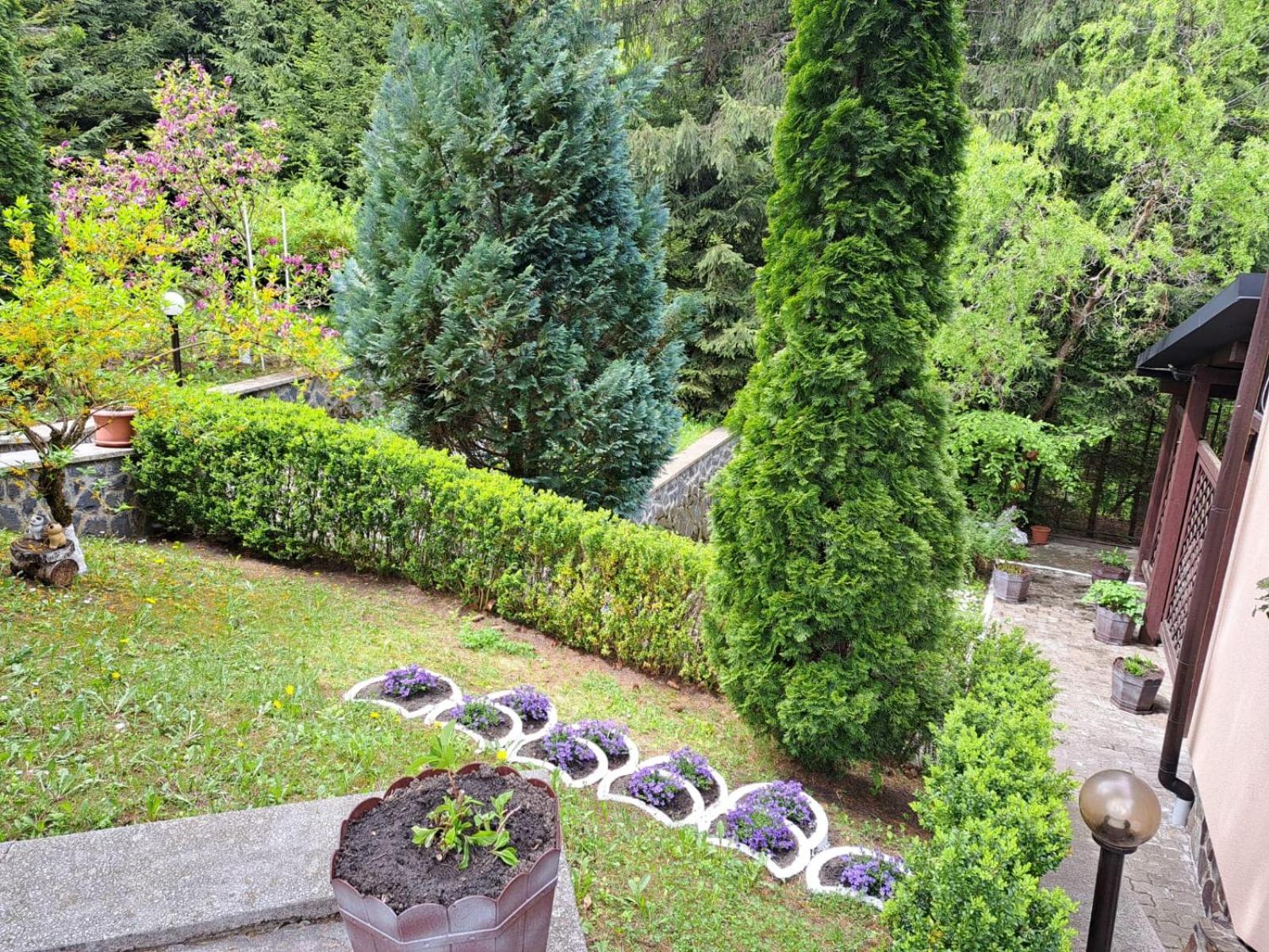 Pensiunea Colina Poiana Braşov Dış mekan fotoğraf