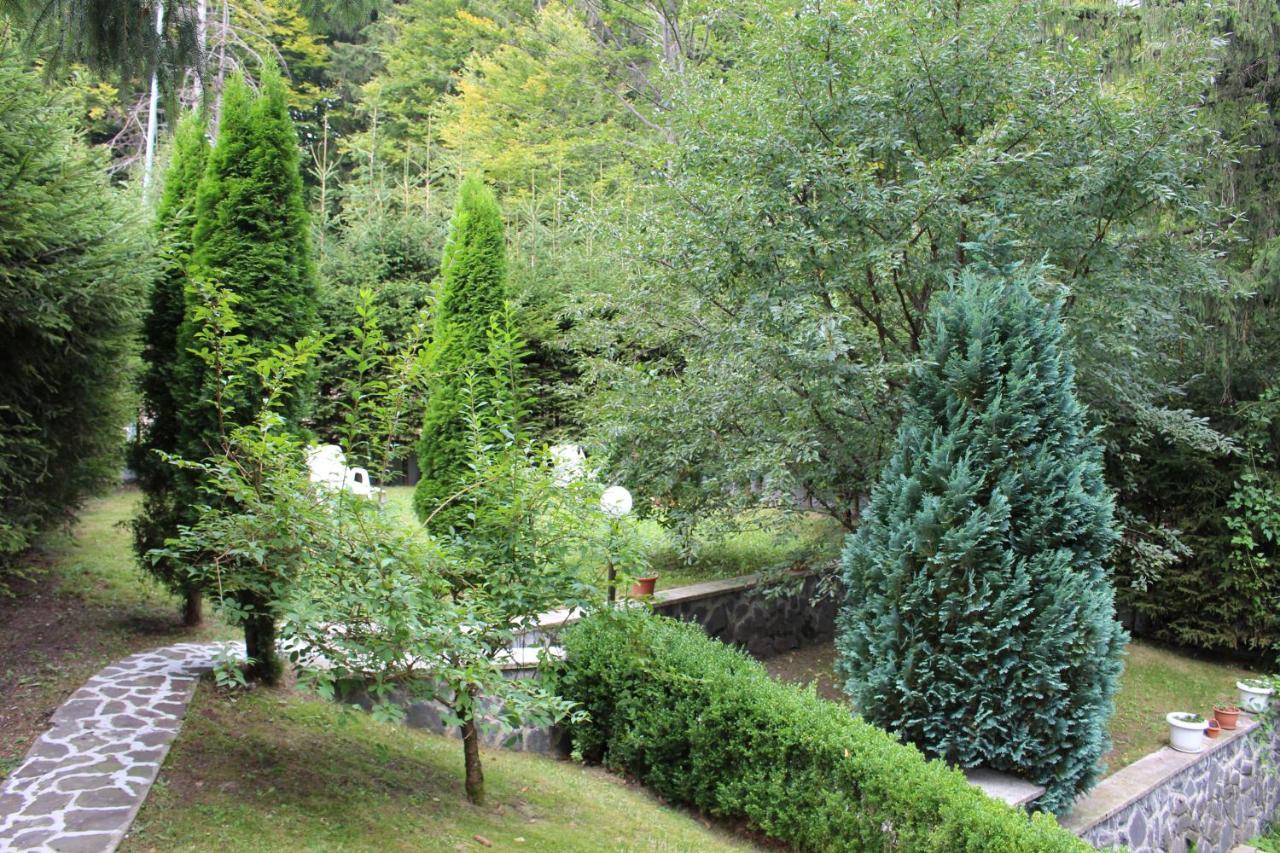 Pensiunea Colina Poiana Braşov Dış mekan fotoğraf